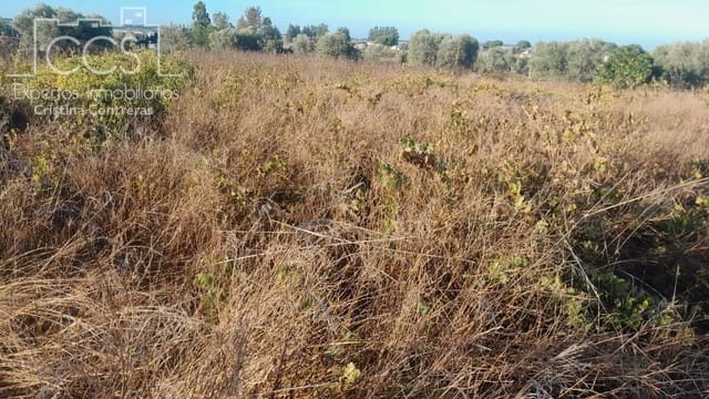 Building Plot for sale in Almonte - € 8,000 (Ref: 9406095)