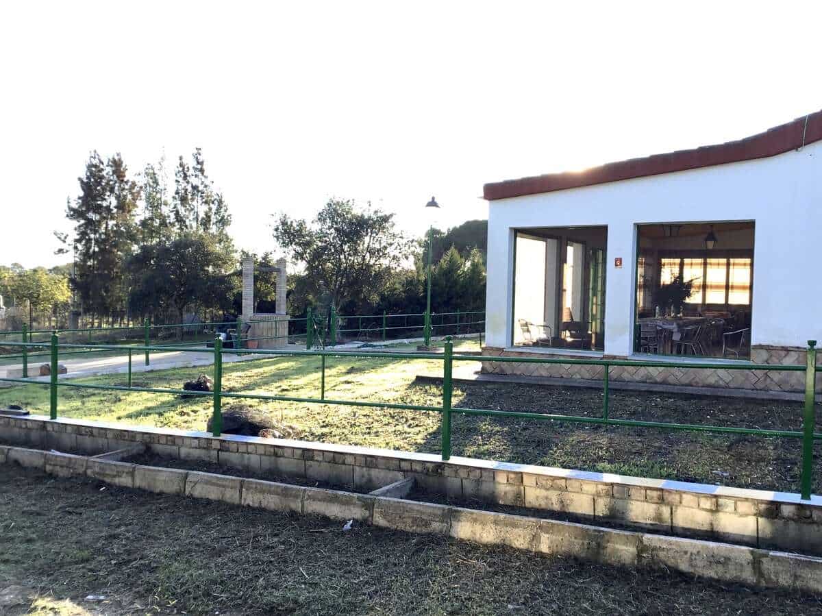 4 Zimmer Finca/Landgut zu verkaufen in Almonte mit Garage - 115.000 € (Ref: 9429364)
