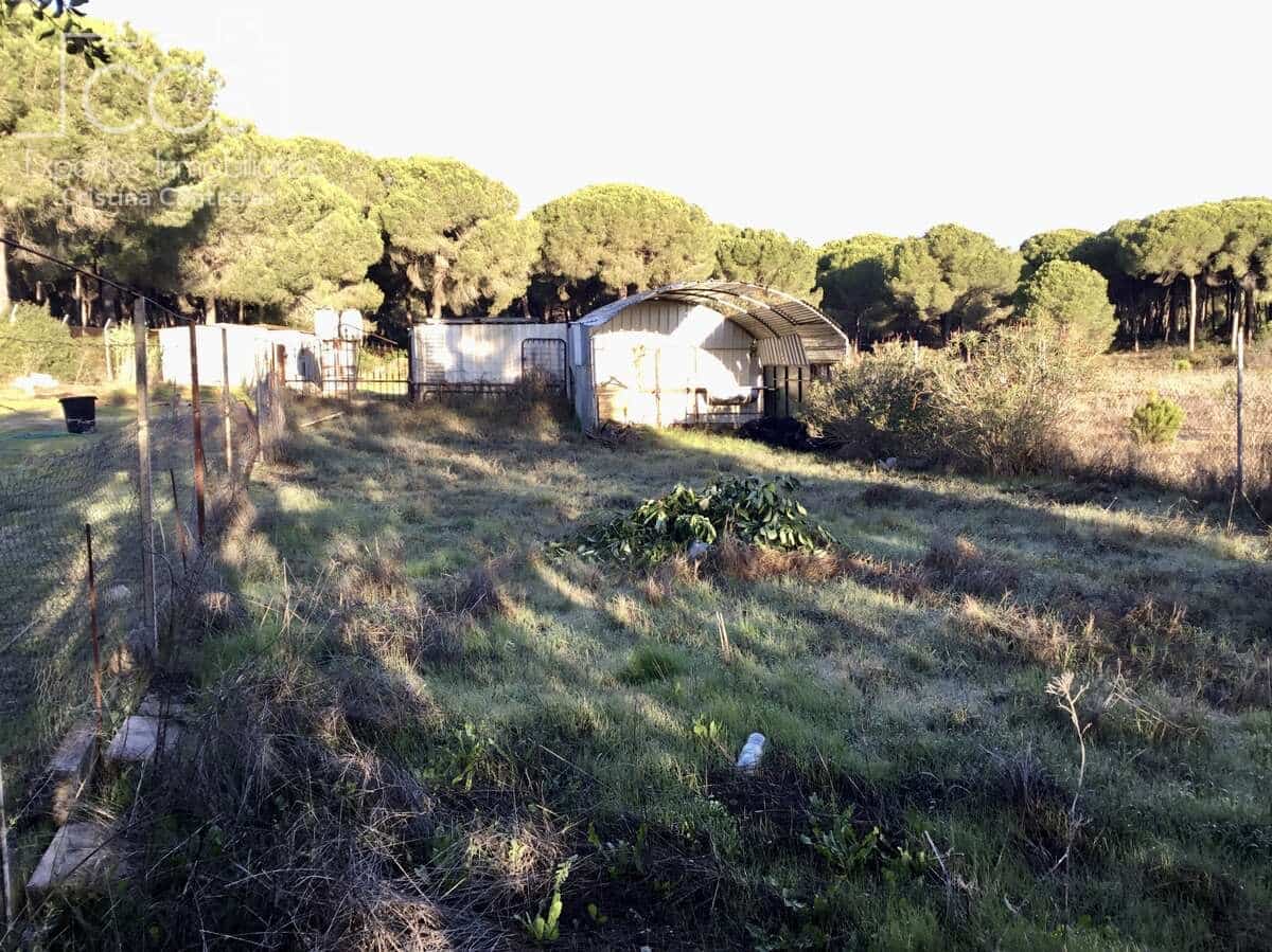 4 Zimmer Finca/Landgut zu verkaufen in Almonte mit Garage - 115.000 € (Ref: 9429364)