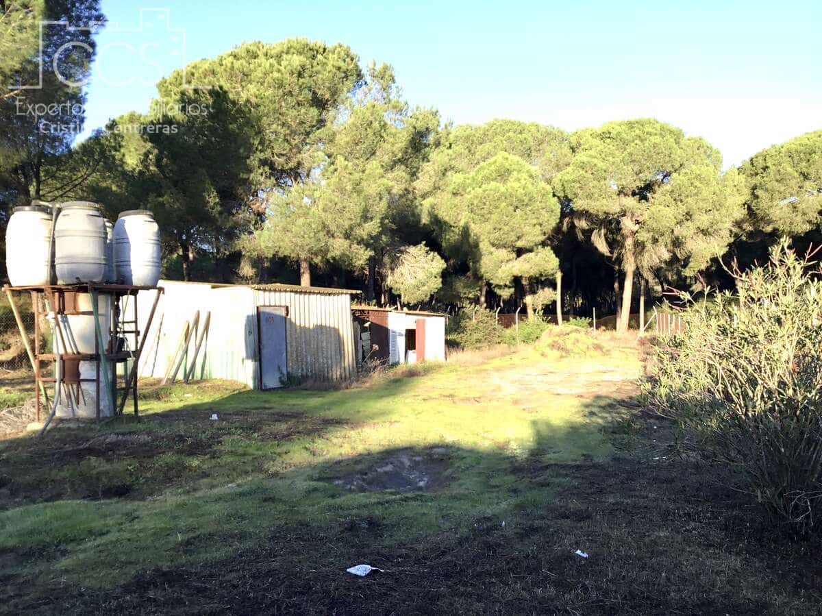 4 Zimmer Finca/Landgut zu verkaufen in Almonte mit Garage - 115.000 € (Ref: 9429364)