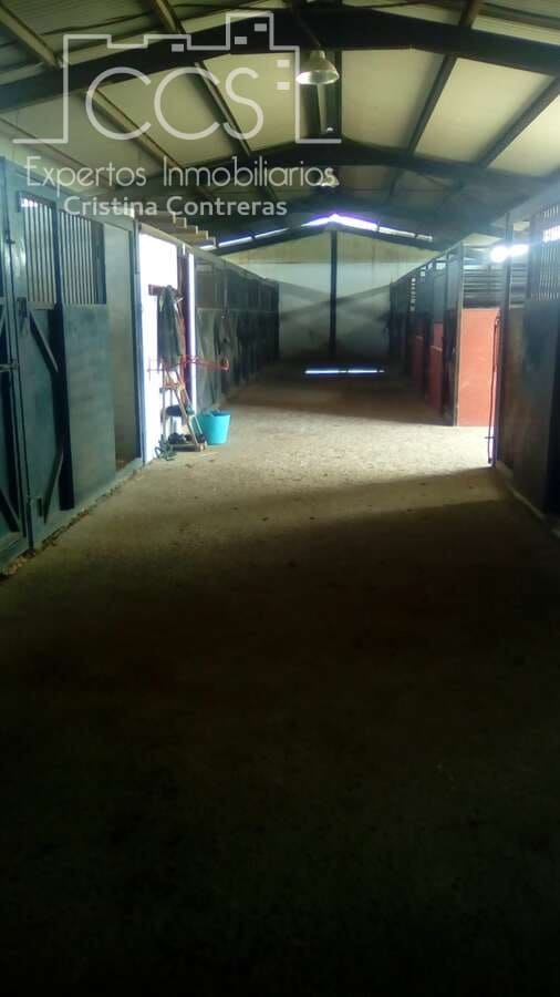 1 slaapkamer Finca/Landhuis te koop in Pilas - € 150.000 (Ref: 9451716)