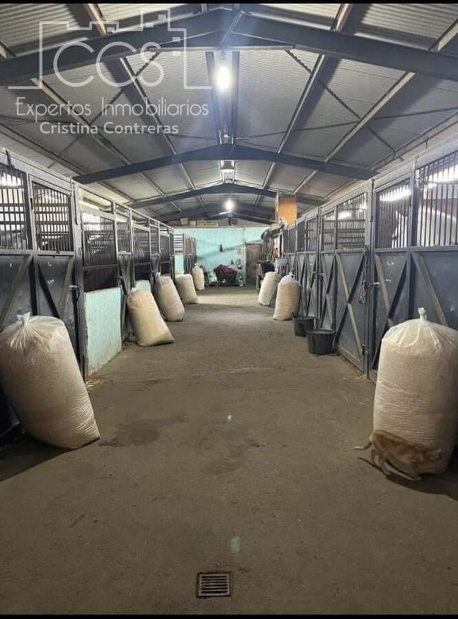 1 slaapkamer Finca/Landhuis te koop in Pilas - € 150.000 (Ref: 9451716)