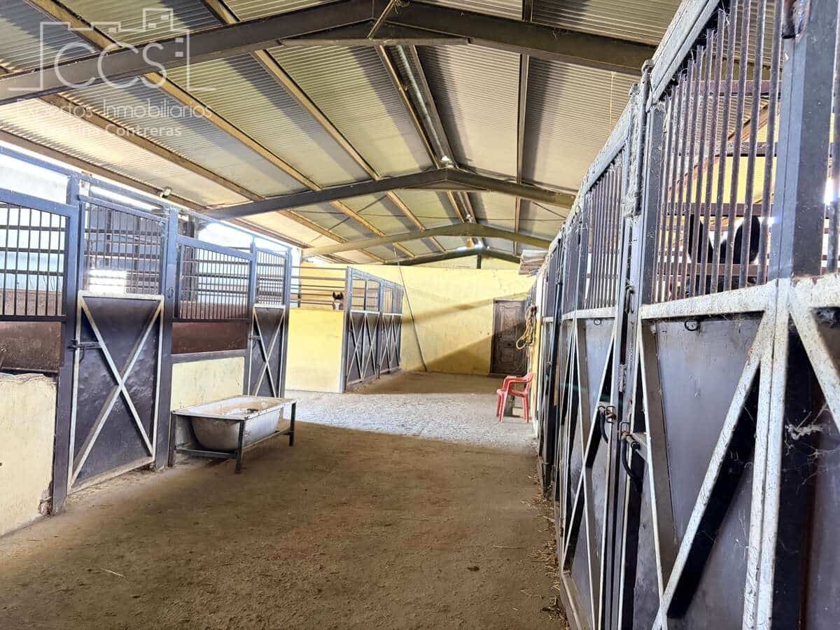 1 soveværelse Finca/Landehus til salg i Pilas - € 140.000 (Ref: 9451716)