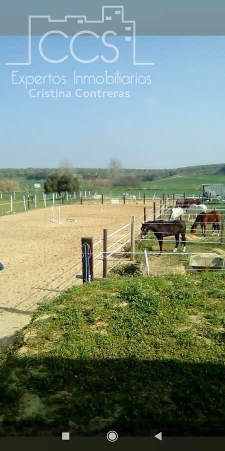1 bedroom Finca/Country House for sale in Pilas - € 125,000 (Ref: 9451716)