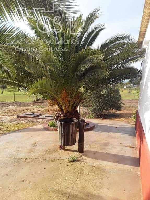 3 sovrum Finca/Hus på landet till salu i Almonte - 99 000 € (Ref: 9508109)