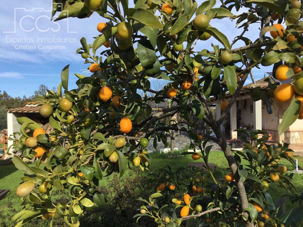 3 soveværelse Villa til salg i Carmona med swimmingpool - € 420.000 (Ref: 9542874)