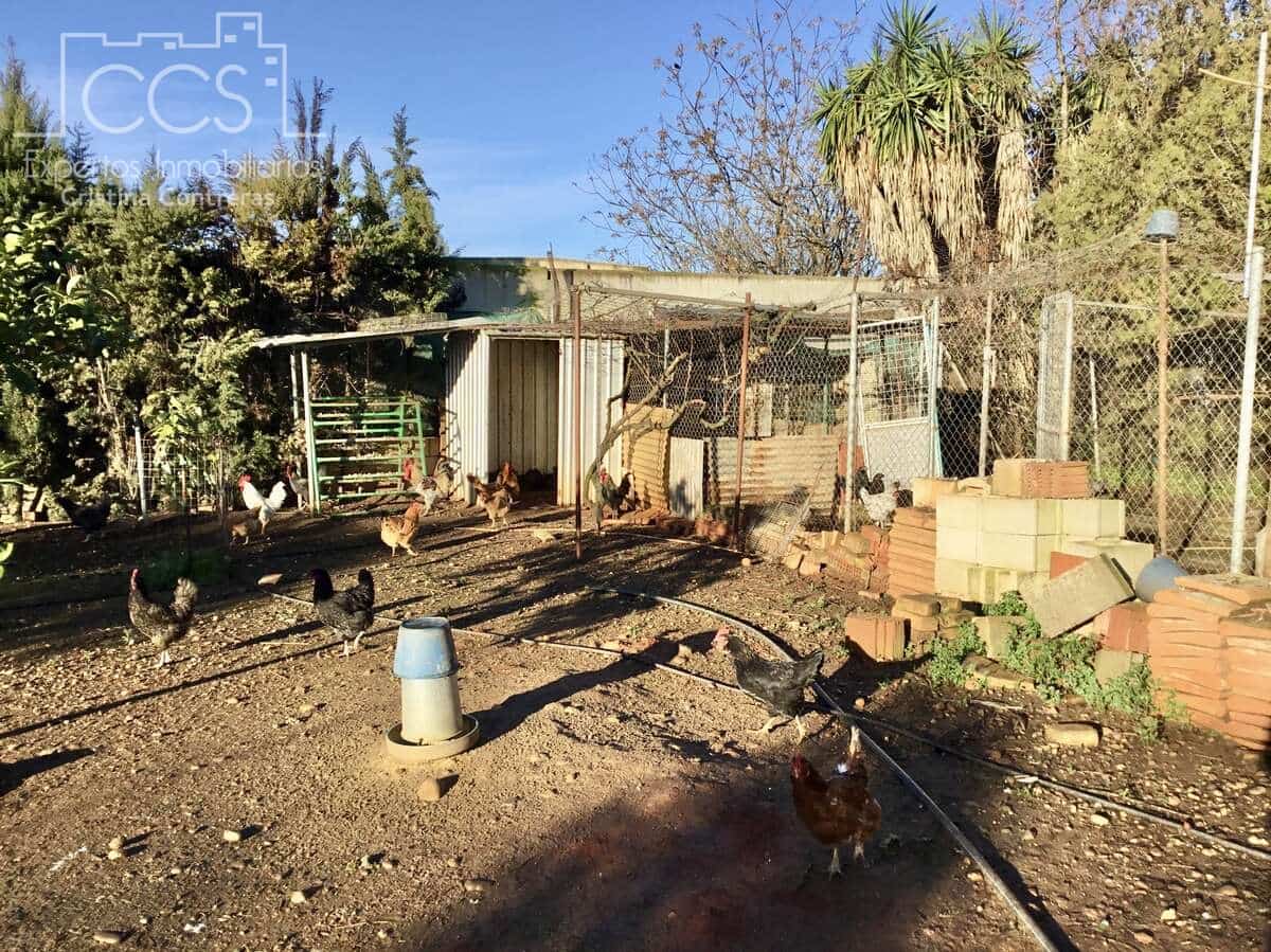 3 soveværelse Villa til salg i Carmona med swimmingpool - € 420.000 (Ref: 9542874)