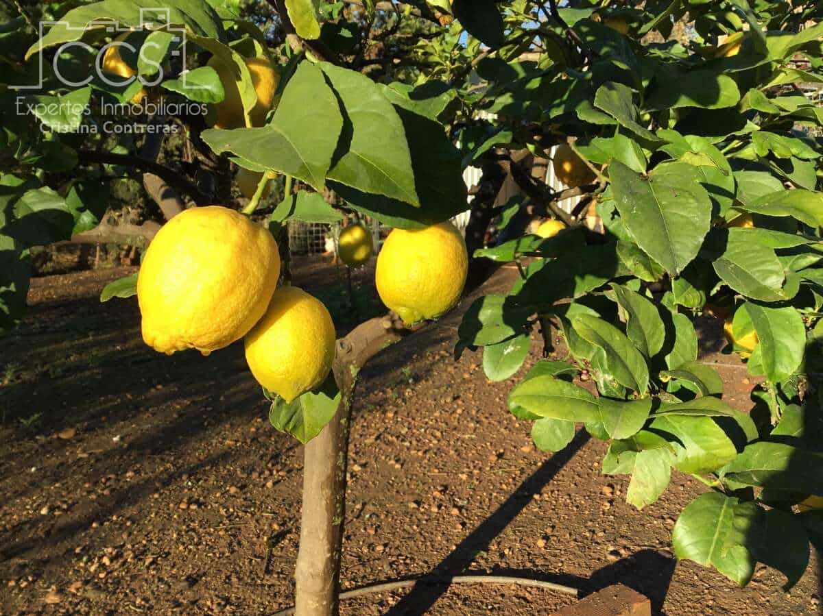 3 soveværelse Villa til salg i Carmona med swimmingpool - € 420.000 (Ref: 9542874)