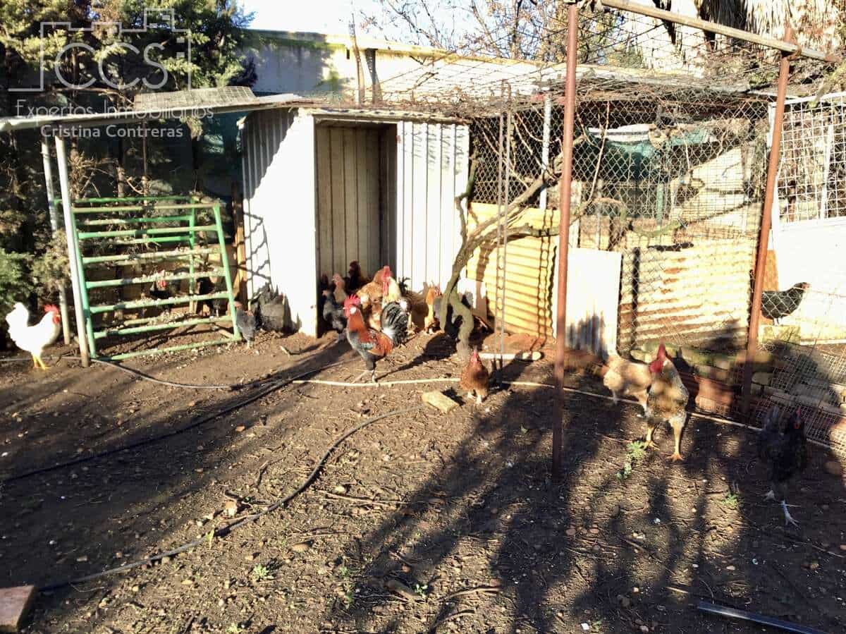 3 soveværelse Villa til salg i Carmona med swimmingpool - € 420.000 (Ref: 9542874)