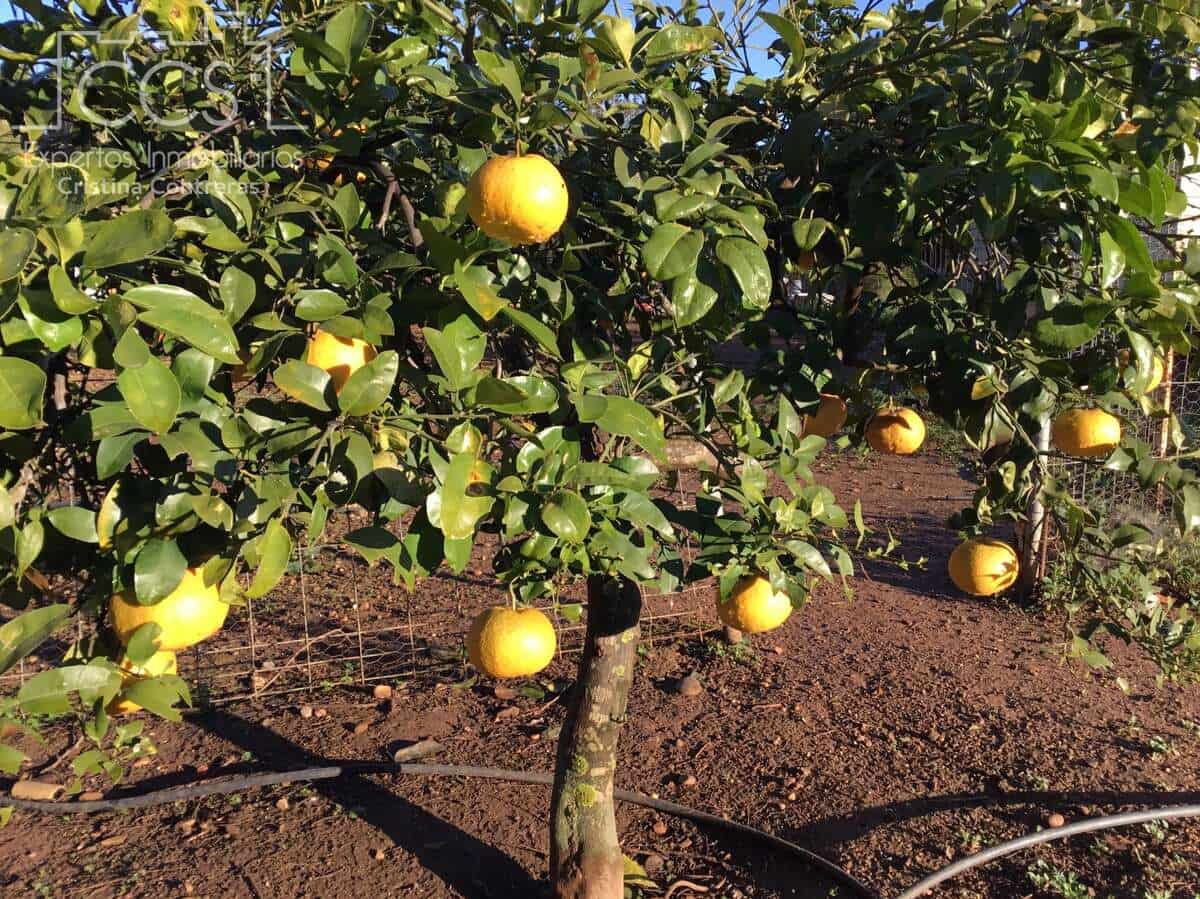 3 soveværelse Villa til salg i Carmona med swimmingpool - € 420.000 (Ref: 9542874)