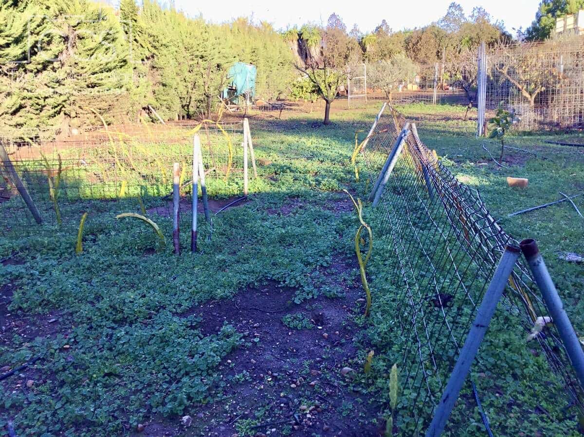 3 soveværelse Villa til salg i Carmona med swimmingpool - € 420.000 (Ref: 9542874)