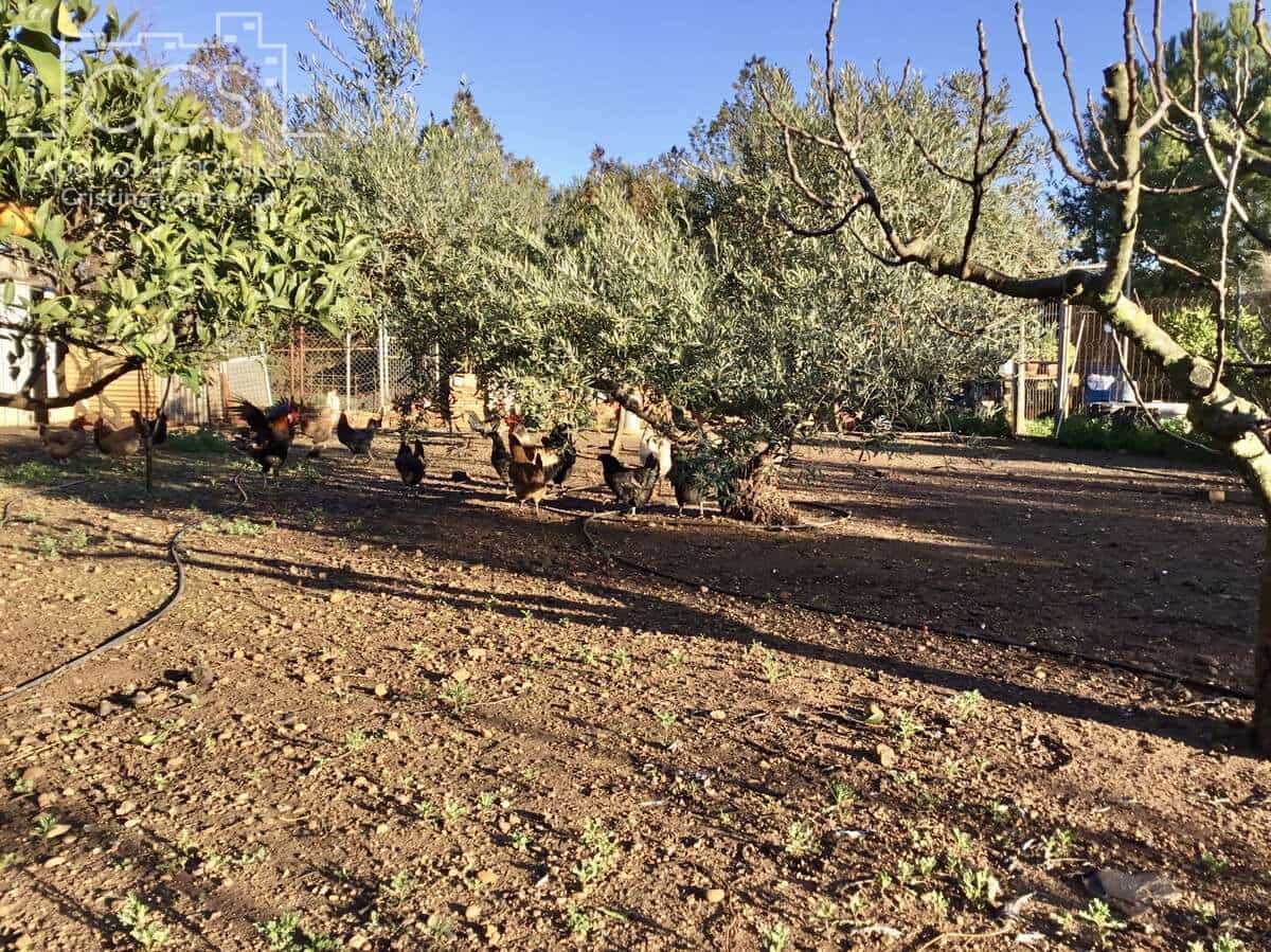 3 soveværelse Villa til salg i Carmona med swimmingpool - € 420.000 (Ref: 9542874)