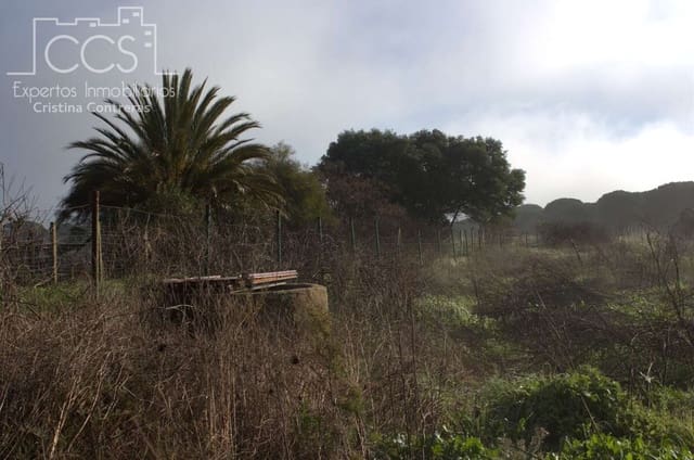 Bouwgrond te koop in Almonte - € 18.000 (Ref: 9554416)