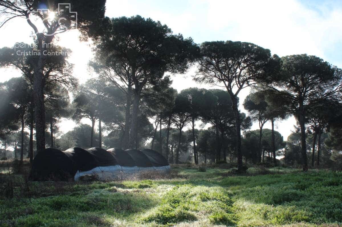 Bouwgrond te koop in Almonte - € 18.000 (Ref: 9554416)