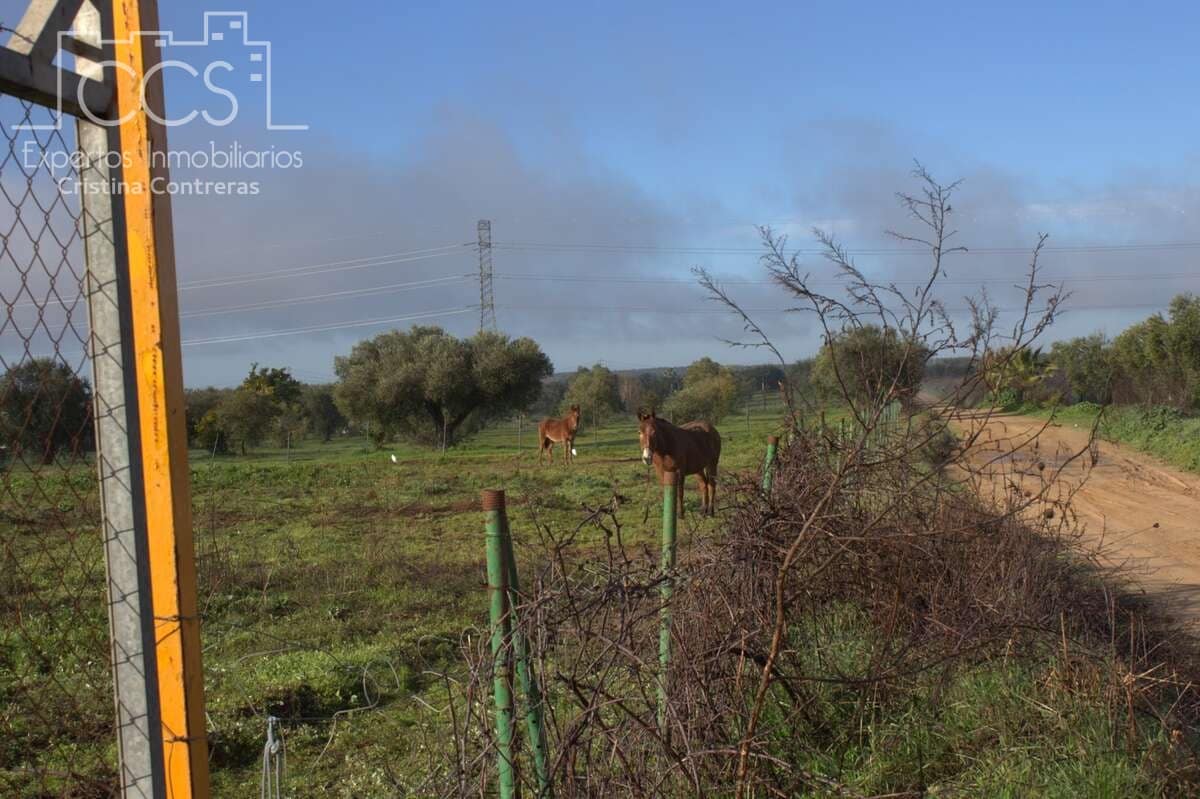 Bouwgrond te koop in Almonte - € 18.000 (Ref: 9554416)