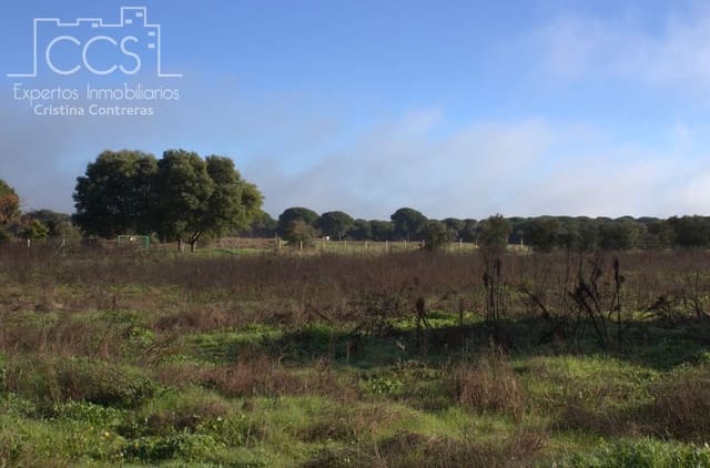 Bouwgrond te koop in Almonte - € 18.000 (Ref: 9554416)