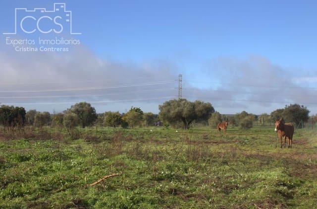 Bouwgrond te koop in Almonte - € 18.000 (Ref: 9554416)