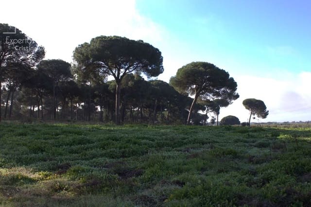 Bouwgrond te koop in Almonte - € 18.000 (Ref: 9554416)