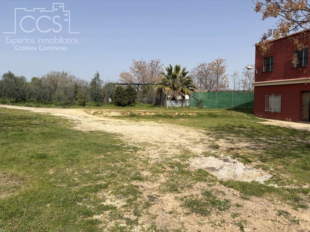 3 chambre Finca/Maison de Campagne à vendre à Pilas avec piscine - 215 000 € (Ref: 9782919)