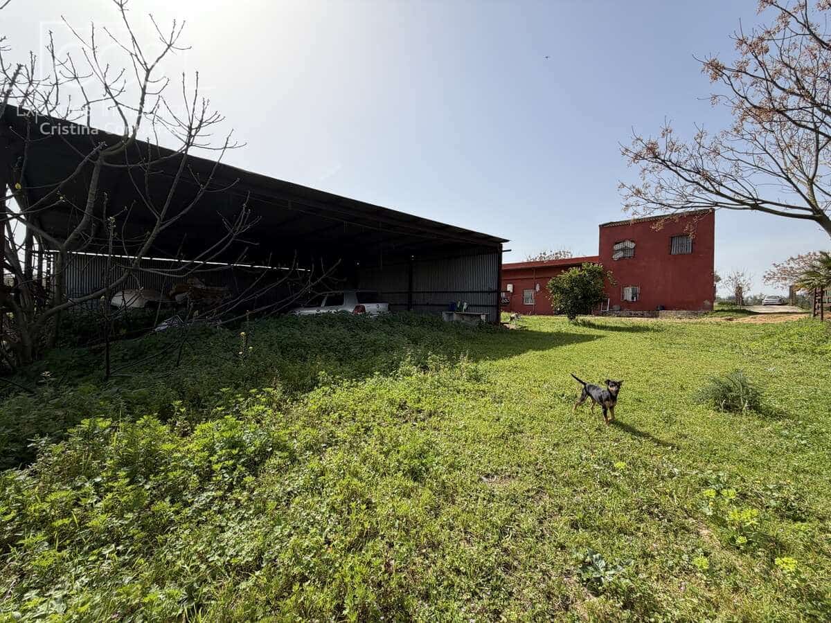 3 chambre Finca/Maison de Campagne à vendre à Pilas avec piscine - 215 000 € (Ref: 9782919)