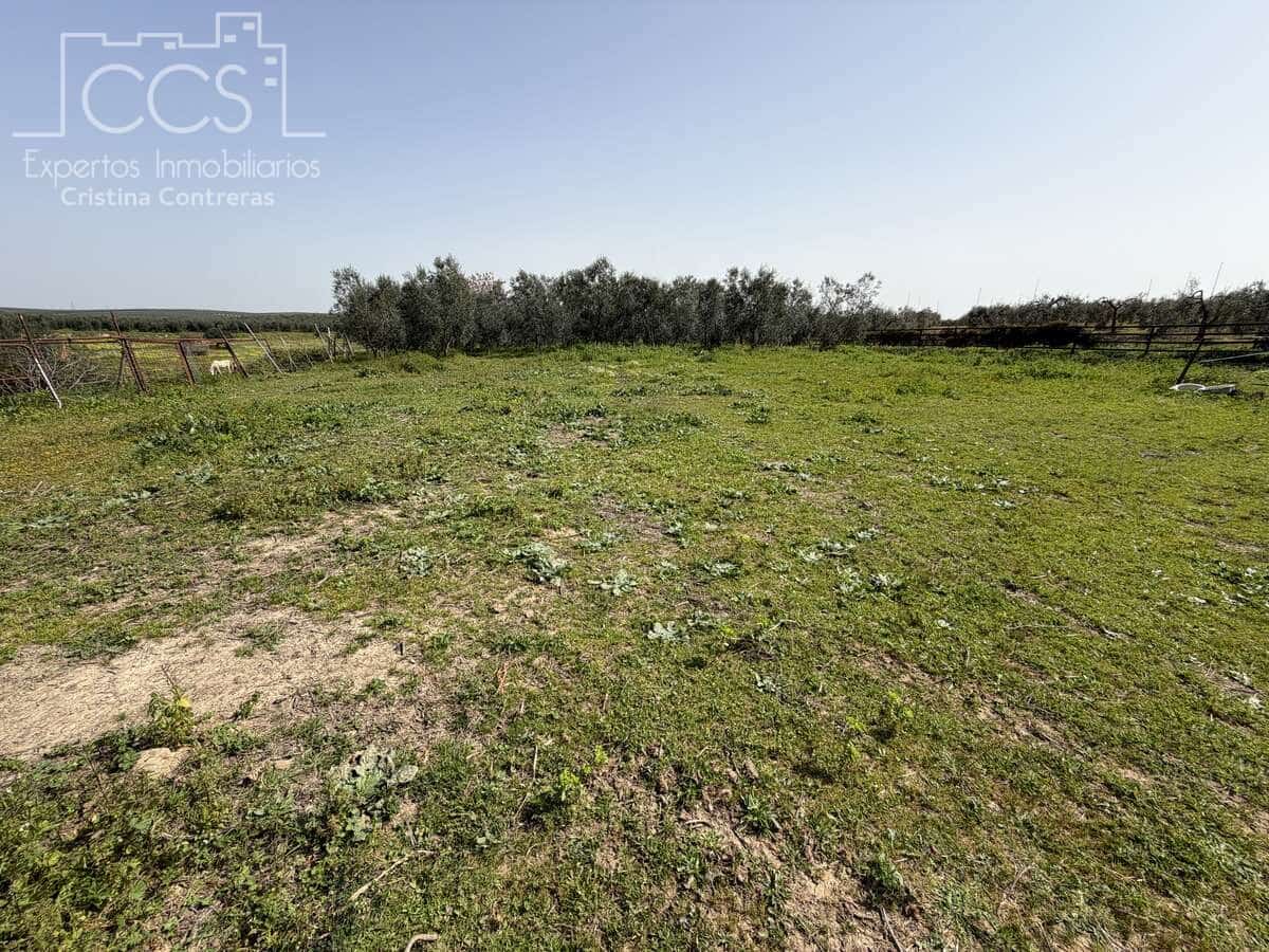 3 chambre Finca/Maison de Campagne à vendre à Pilas avec piscine - 215 000 € (Ref: 9782919)