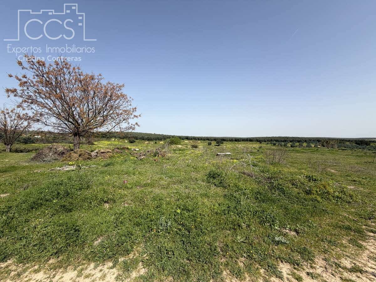 3 chambre Finca/Maison de Campagne à vendre à Pilas avec piscine - 215 000 € (Ref: 9782919)