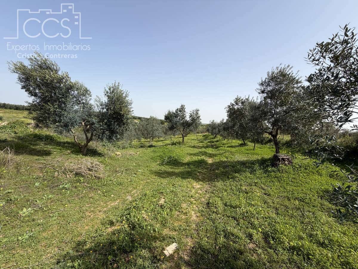 3 chambre Finca/Maison de Campagne à vendre à Pilas avec piscine - 215 000 € (Ref: 9782919)