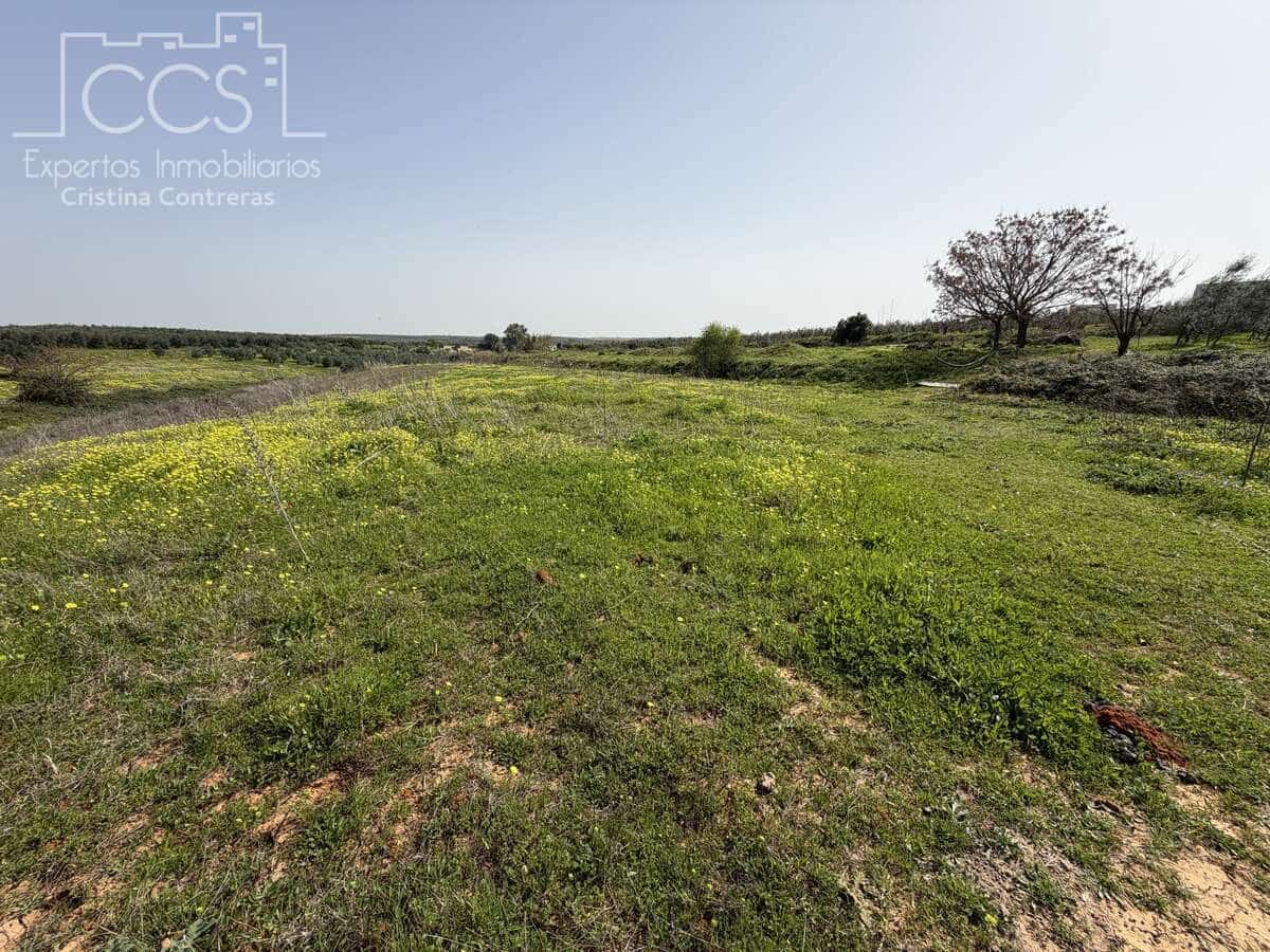 3 chambre Finca/Maison de Campagne à vendre à Pilas avec piscine - 215 000 € (Ref: 9782919)