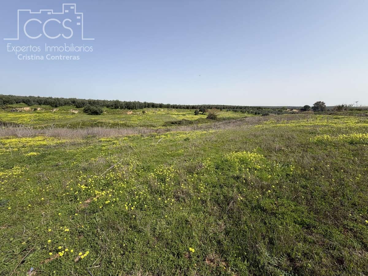 3 chambre Finca/Maison de Campagne à vendre à Pilas avec piscine - 215 000 € (Ref: 9782919)