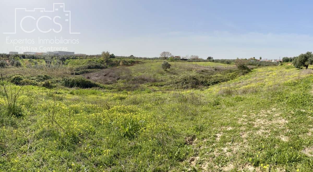 3 chambre Finca/Maison de Campagne à vendre à Pilas avec piscine - 215 000 € (Ref: 9782919)