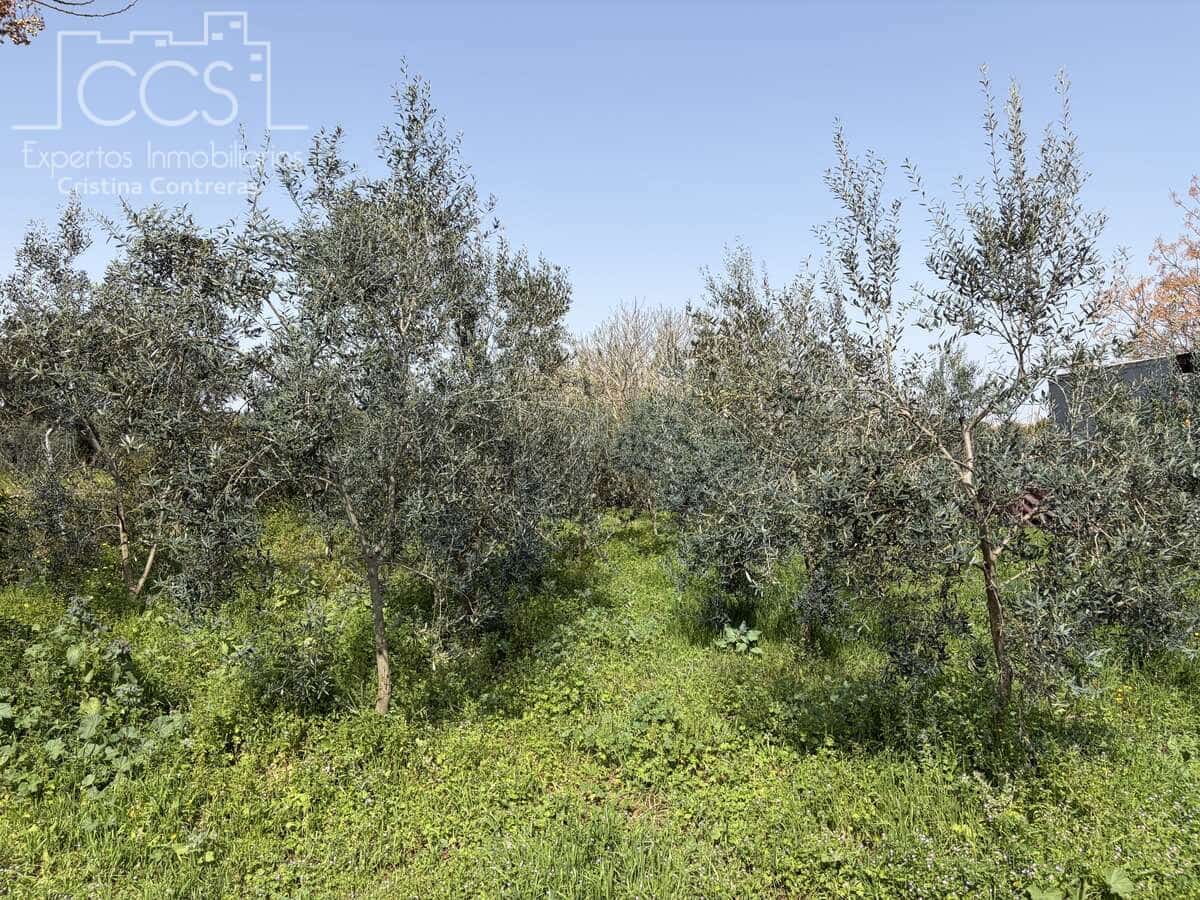 3 chambre Finca/Maison de Campagne à vendre à Pilas avec piscine - 215 000 € (Ref: 9782919)