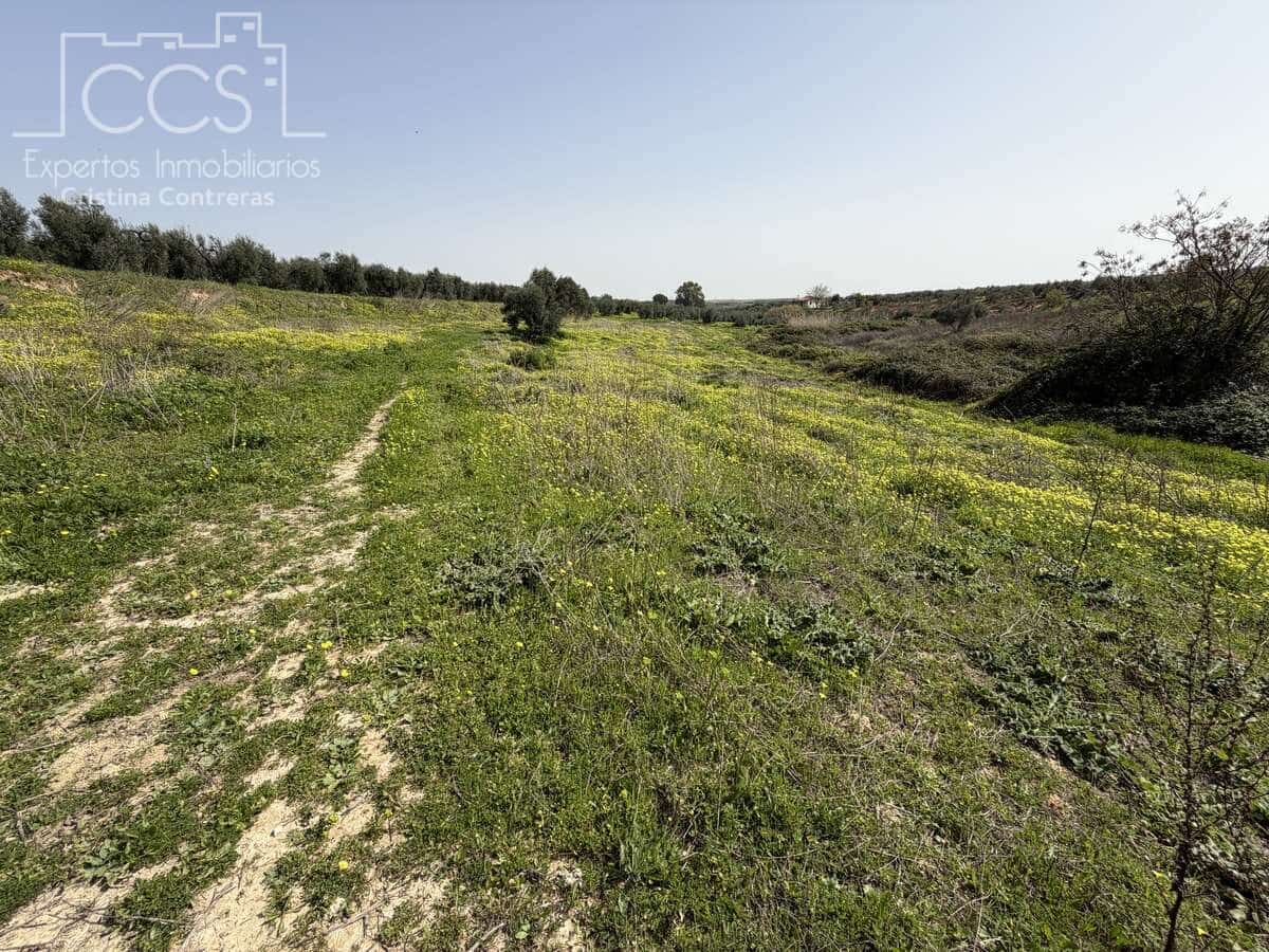 3 chambre Finca/Maison de Campagne à vendre à Pilas avec piscine - 215 000 € (Ref: 9782919)