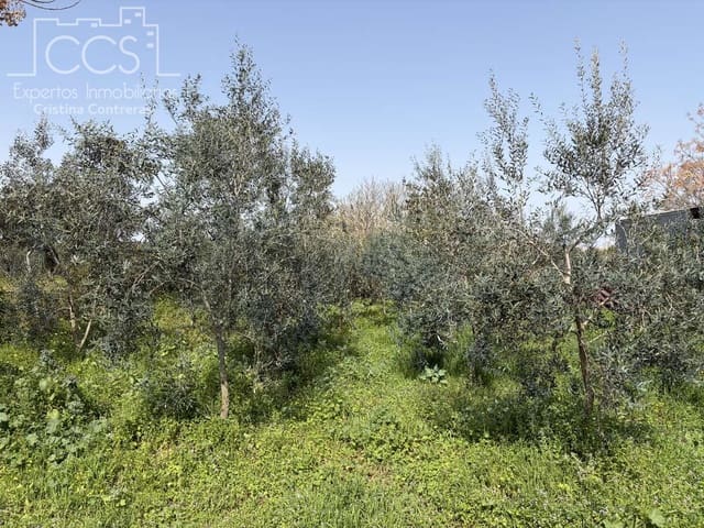 3 chambre Finca/Maison de Campagne à vendre à Pilas - 215 000 € (Ref: 9782919)