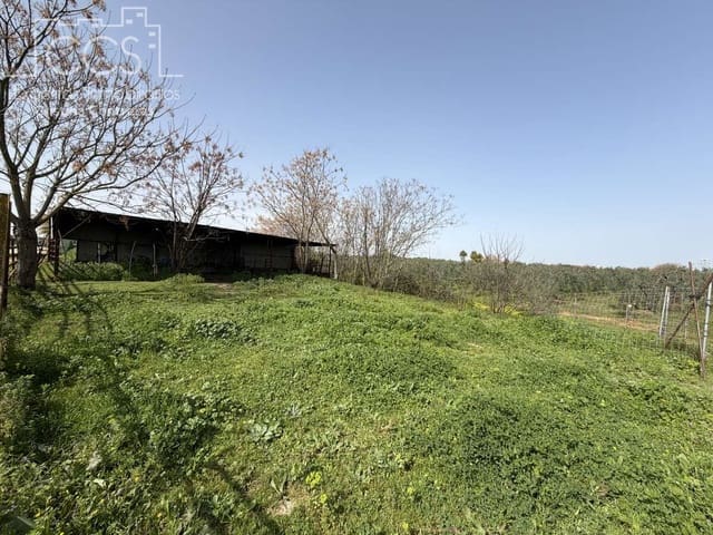 3 chambre Finca/Maison de Campagne à vendre à Pilas - 215 000 € (Ref: 9782919)