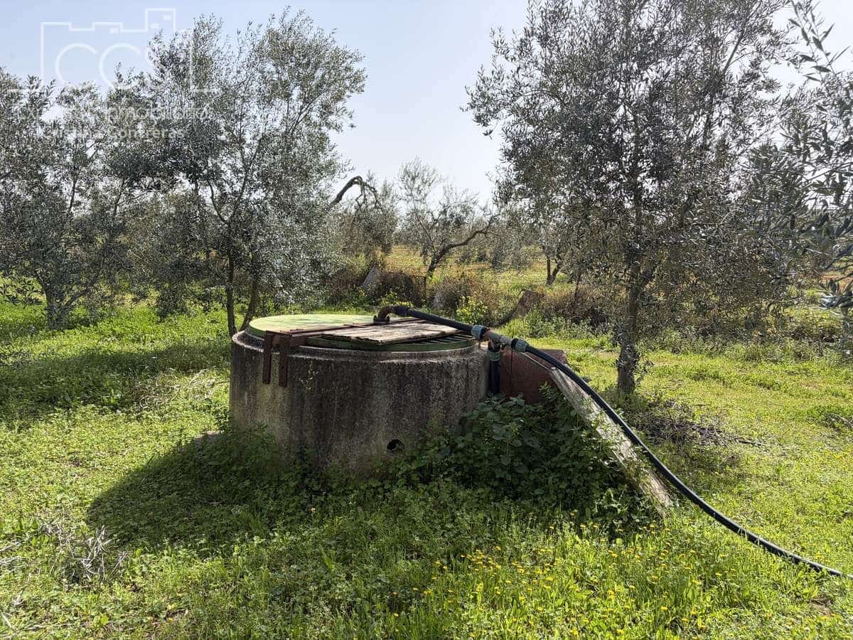 3 chambre Finca/Maison de Campagne à vendre à Pilas avec piscine - 215 000 € (Ref: 9782919)