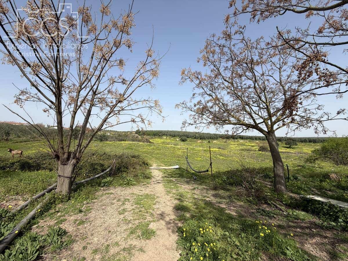 3 chambre Finca/Maison de Campagne à vendre à Pilas avec piscine - 215 000 € (Ref: 9782919)