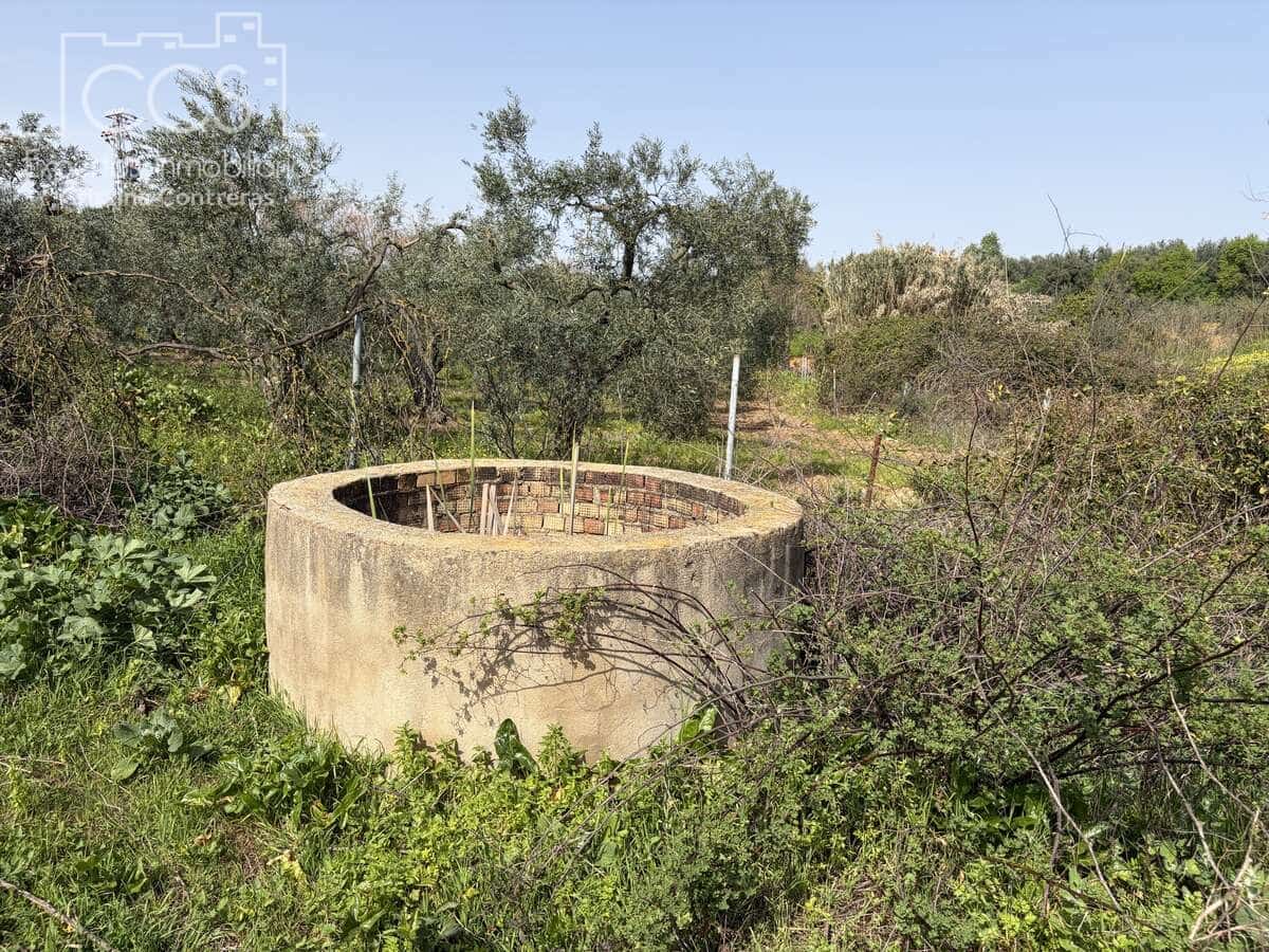 3 chambre Finca/Maison de Campagne à vendre à Pilas avec piscine - 215 000 € (Ref: 9782919)