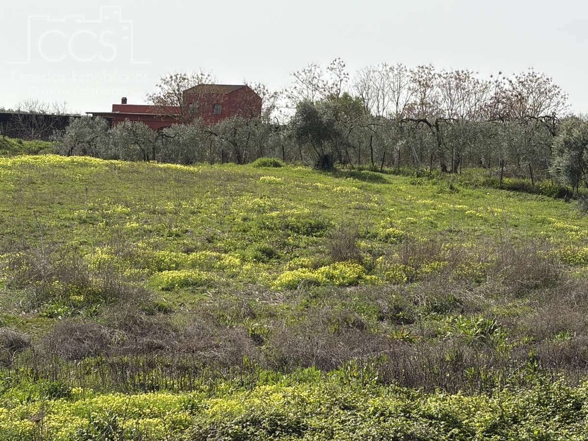 3 chambre Finca/Maison de Campagne à vendre à Pilas avec piscine - 215 000 € (Ref: 9782919)