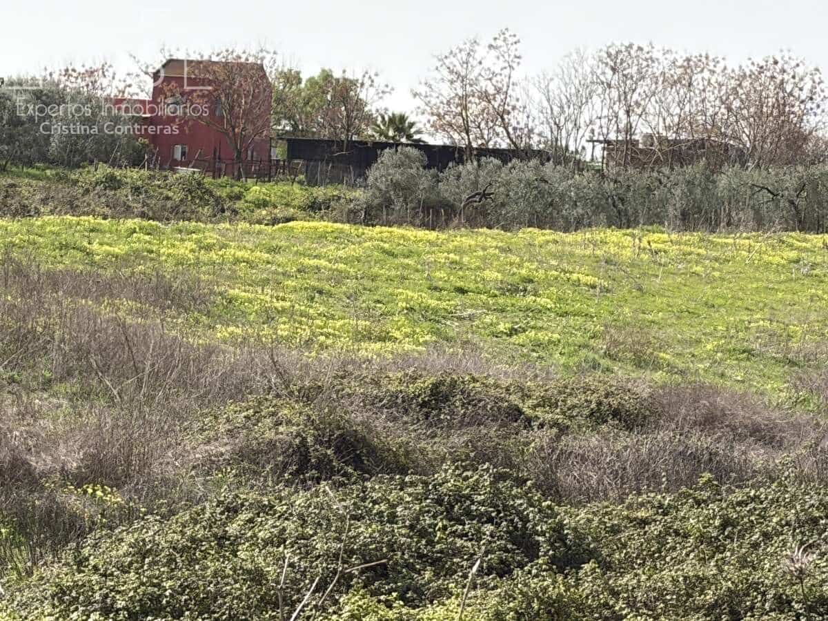 3 chambre Finca/Maison de Campagne à vendre à Pilas avec piscine - 215 000 € (Ref: 9782919)