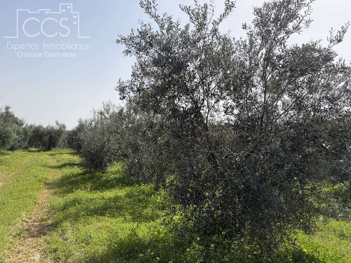 3 chambre Finca/Maison de Campagne à vendre à Pilas avec piscine - 215 000 € (Ref: 9782919)