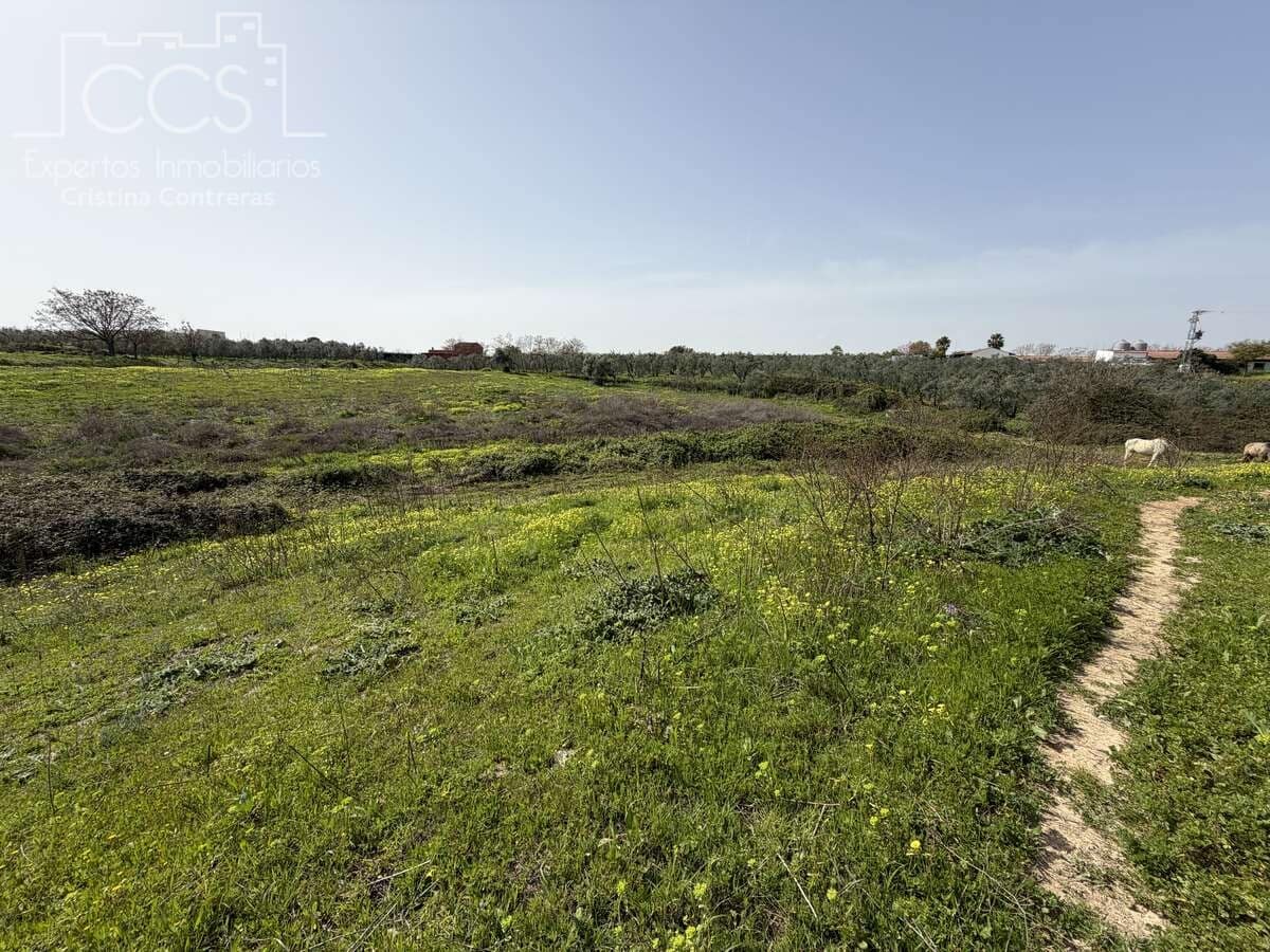 3 bedroom Finca/Country House for sale in Pilas with pool - € 215,000 (Ref: 9782919)