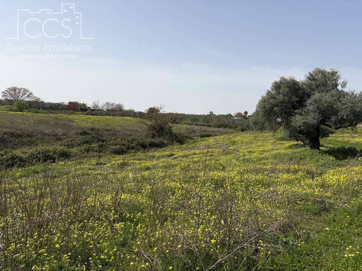 3 bedroom Finca/Country House for sale in Pilas with pool - € 215,000 (Ref: 9782919)