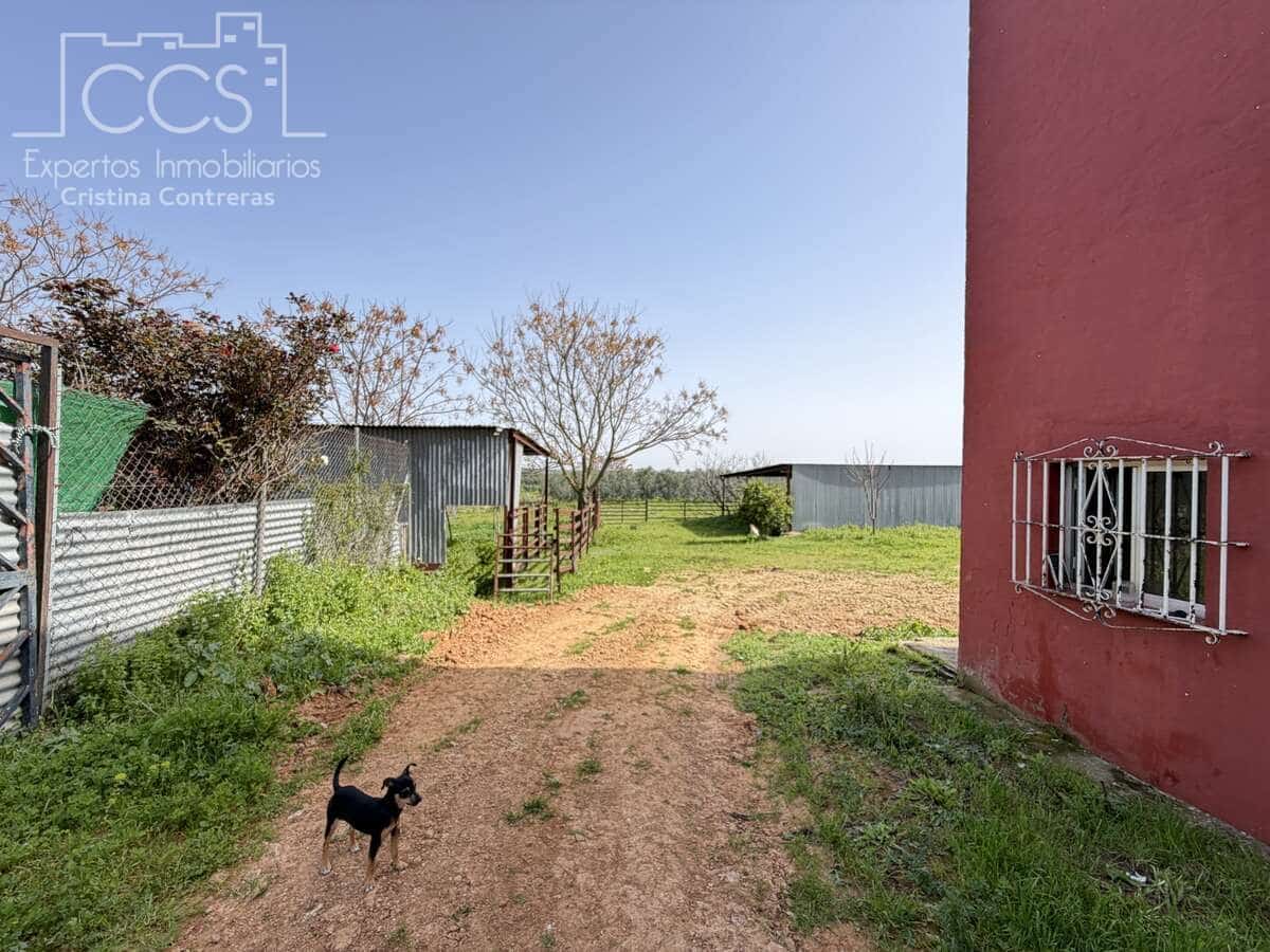 3 bedroom Finca/Country House for sale in Pilas with pool - € 215,000 (Ref: 9782919)