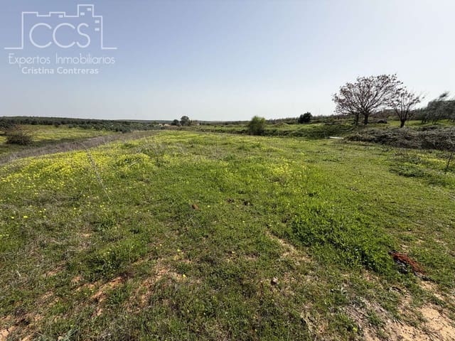 3 sypialnia Finka/Dom wiejski na sprzedaż w Pilas z basenem - 215 000 € (Ref: 9782919)
