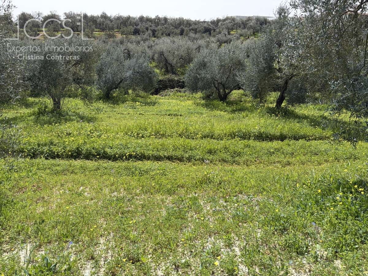 3 bedroom Finca/Country House for sale in Pilas with pool - € 215,000 (Ref: 9782919)