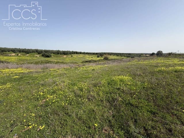 Finca/Casa Rural de 3 habitaciones en Pilas en venta con piscina - 215.000 € (Ref: 9782919)