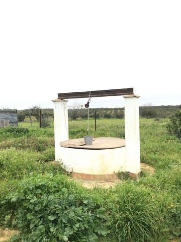 2 sypialnia Finka/Dom wiejski na sprzedaż w Almonte - 150 000 € (Ref: 9793851)