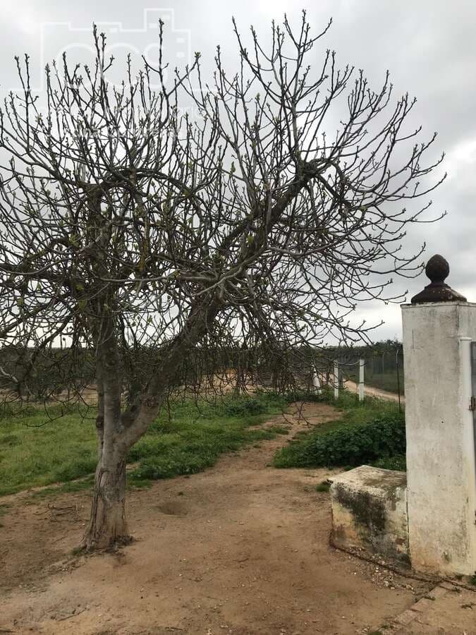 2 makuuhuone Maalaistalo myytävänä paikassa Almonte - 150 000 € (Ref: 9793851)