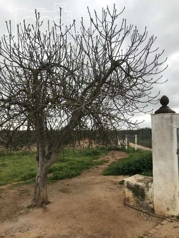 2 sypialnia Finka/Dom wiejski na sprzedaż w Almonte - 150 000 € (Ref: 9793851)