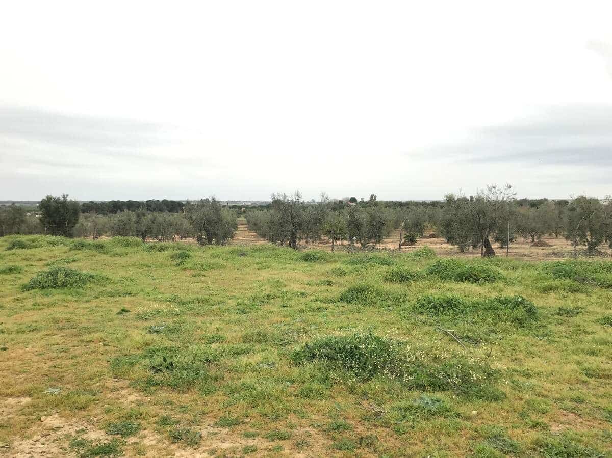 2 makuuhuone Maalaistalo myytävänä paikassa Almonte - 150 000 € (Ref: 9793851)